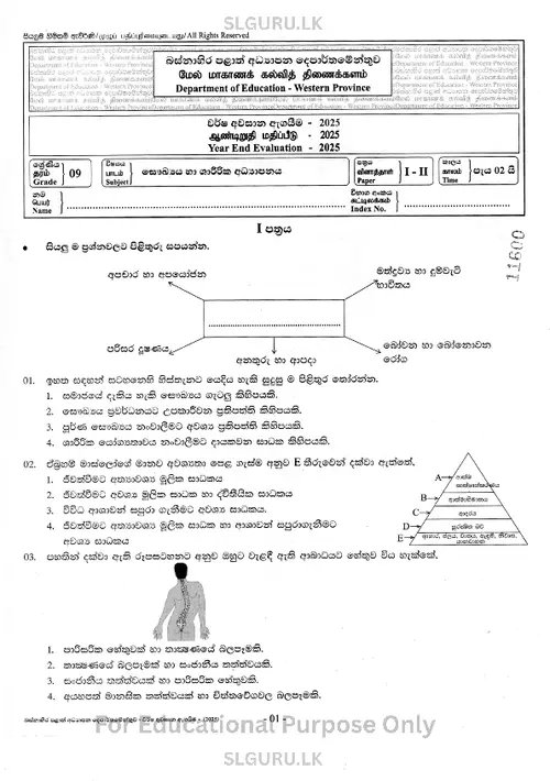 Grade 9 Health Third Term 2025 Western Province thumbnail